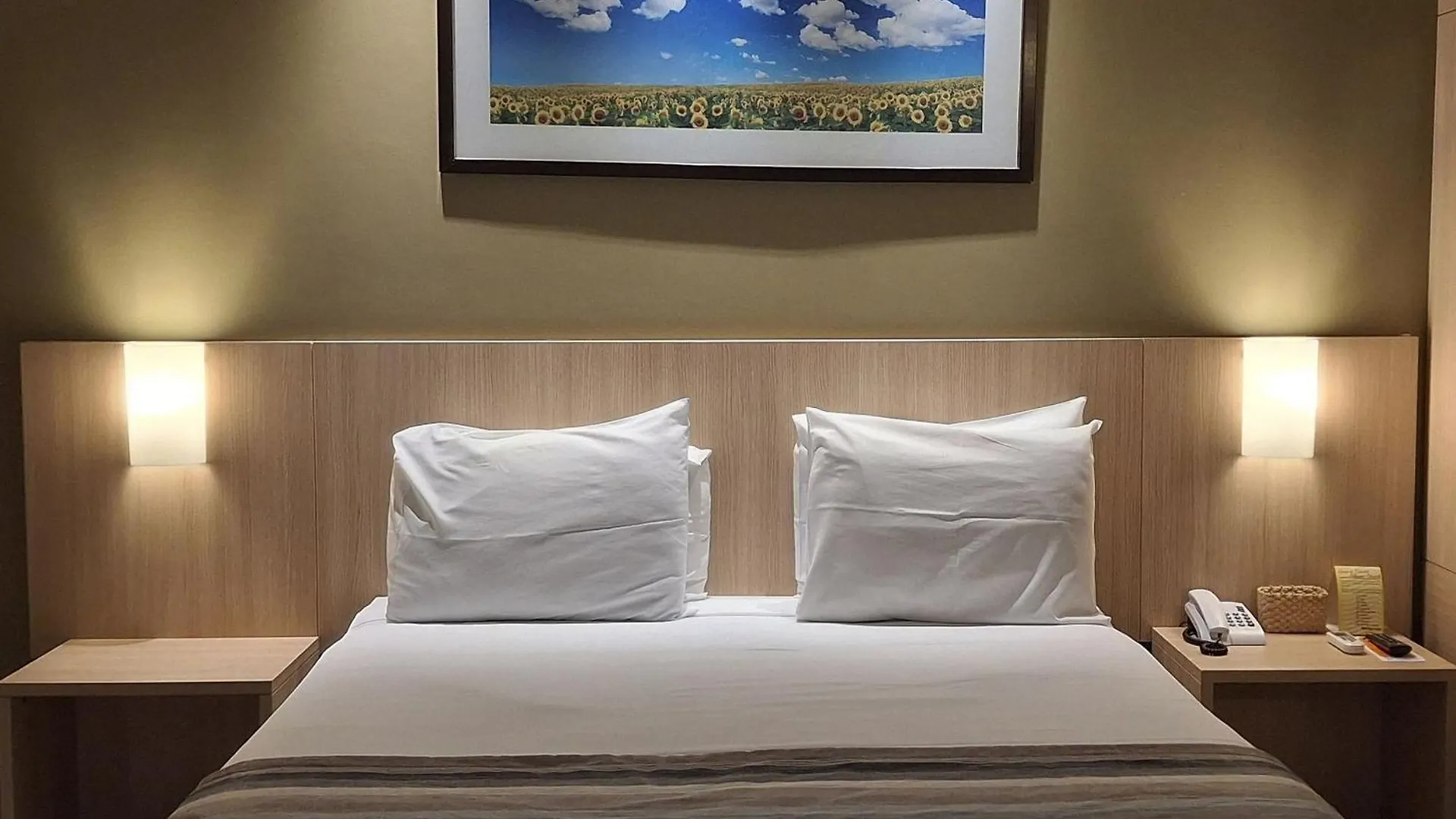 Hot Springs Hotel - Suites Com Banheira Caldas Novas
